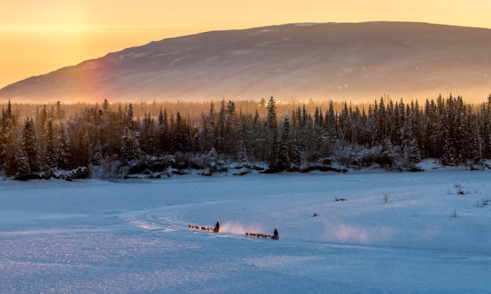 Two mushers of the Yukon Quest on the Yukon River