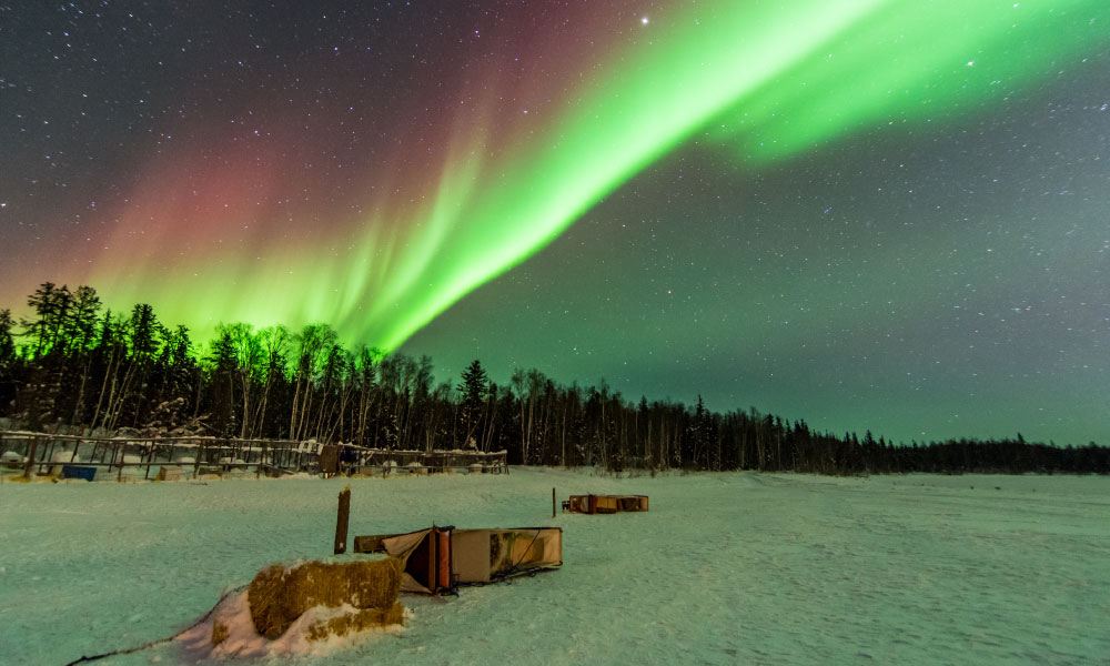 Aurora over dogsleds, Yellowknife, Canada
