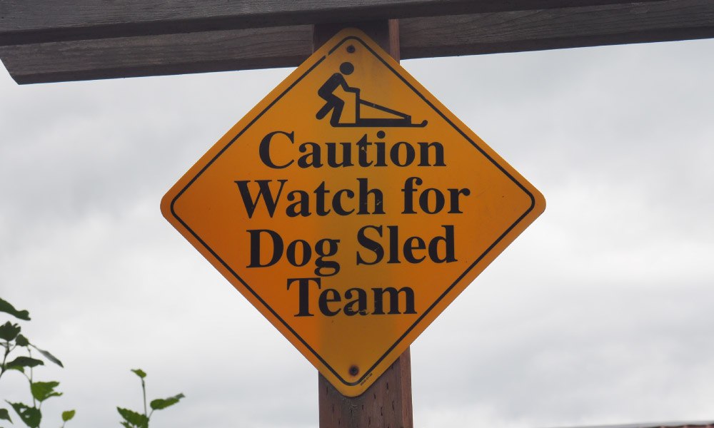 A close up of a caution sign to watch for sled dogs tacked to a pole.